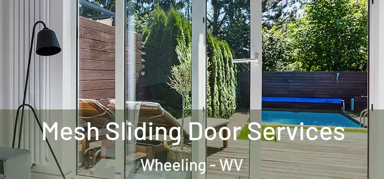 Mesh Sliding Door Services Wheeling - WV